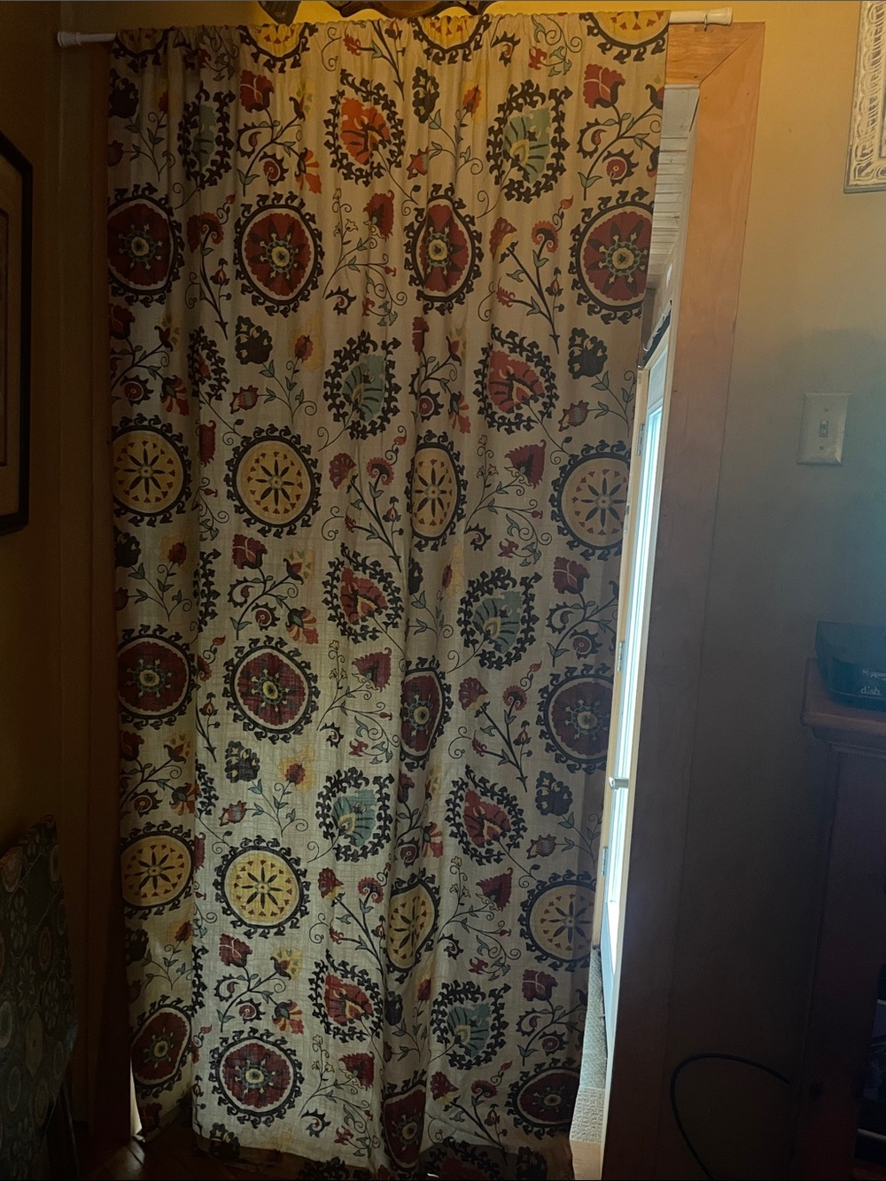Cost Plus World Market Cream Curtain Panel with Multicolor Medallions